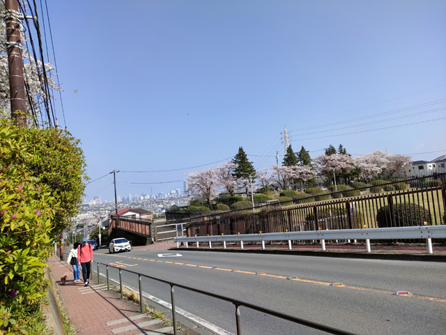 西谷浄水場周辺