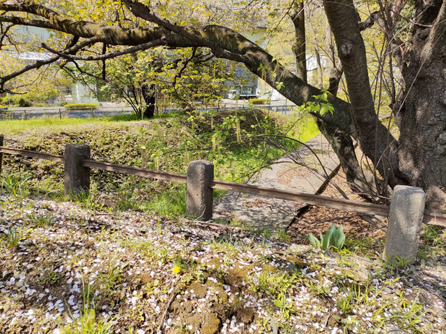 川井浄水場周辺